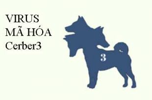 phòng tránh virus mã hóa Cerber3
